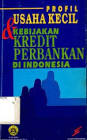 usaha kecil & kebijakan kredit perbankan  di indonesia
